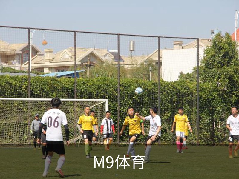 M9体育介绍